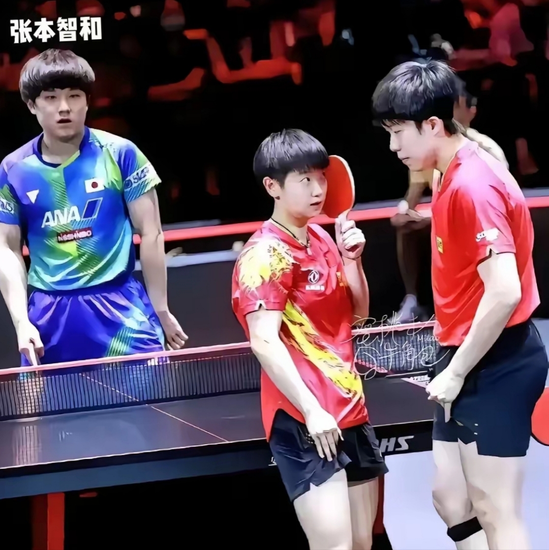 葡萄牙队力克韩国队，张本智和扛起全队的简单介绍