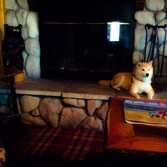 意识之网，英格兰鏖战日耳曼，奥恰洛夫率铁骑破敌