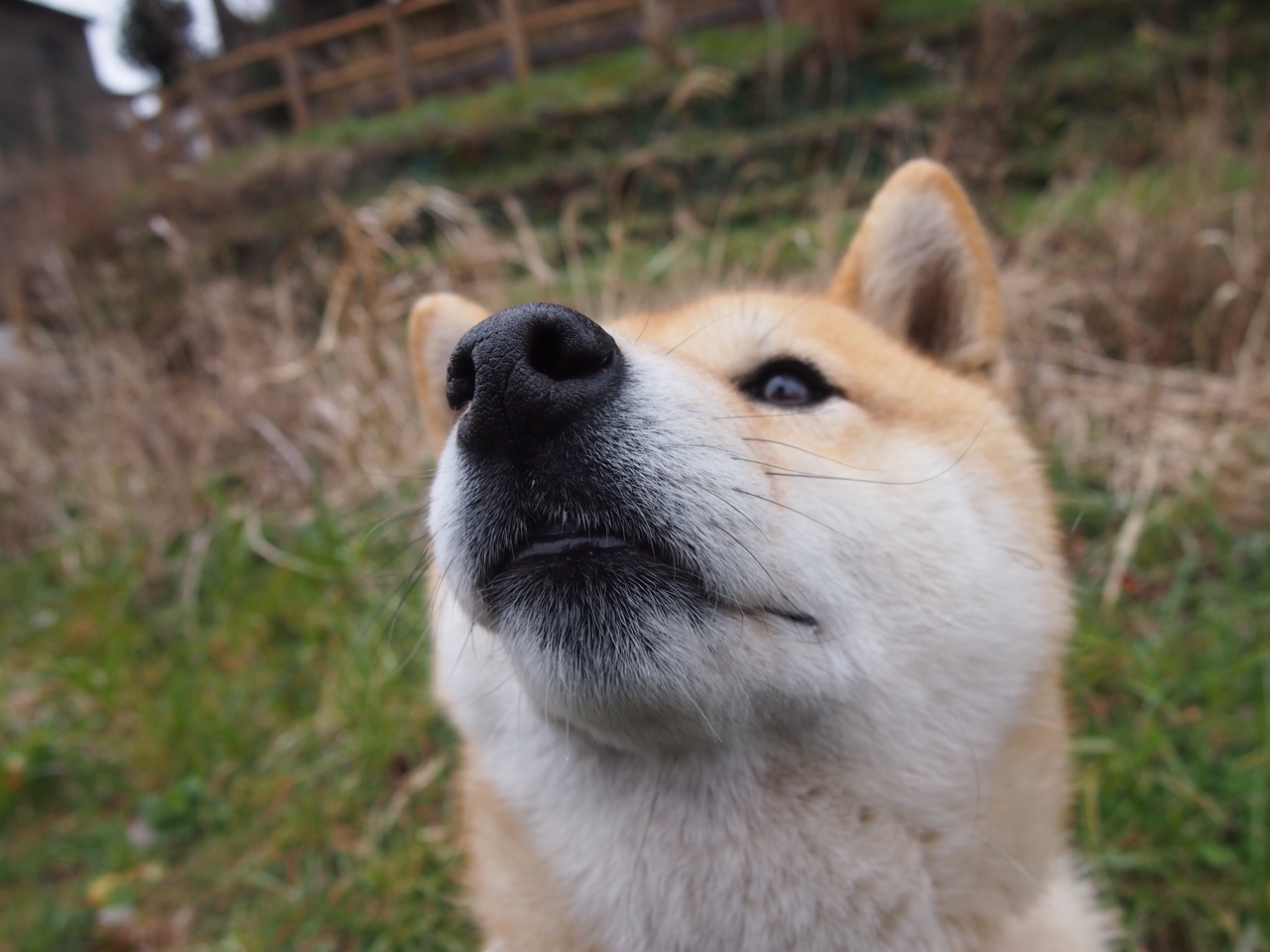 渡江战役，布伦森孤胆扛旗，江苏队惊世逆转火箭