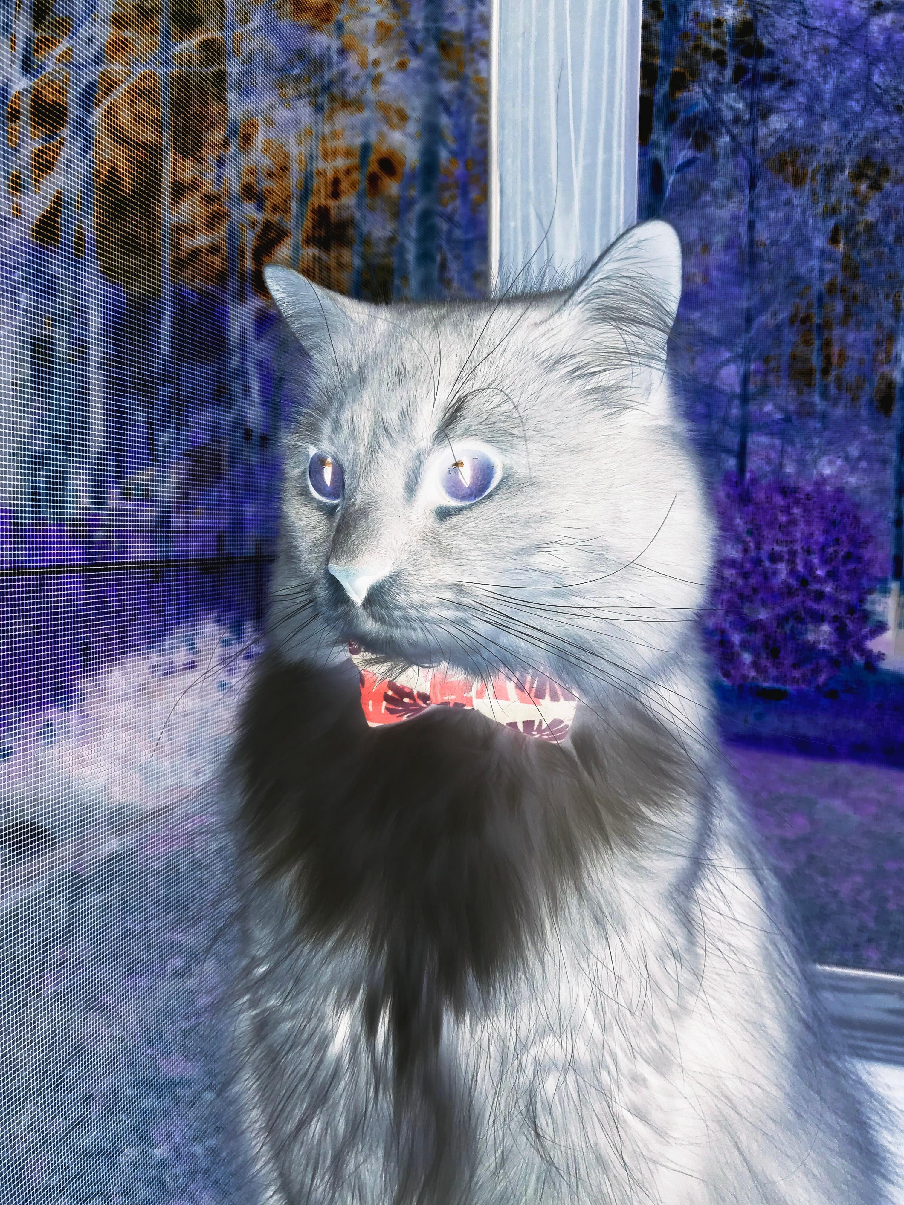 一日双赛，太平洋彼岸的险胜，与钱塘江畔的孤胆英雄