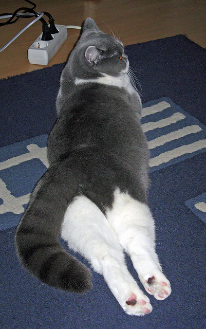 以惊涛,以静流,当轻取成为重剑,当惊艳化为惊雷