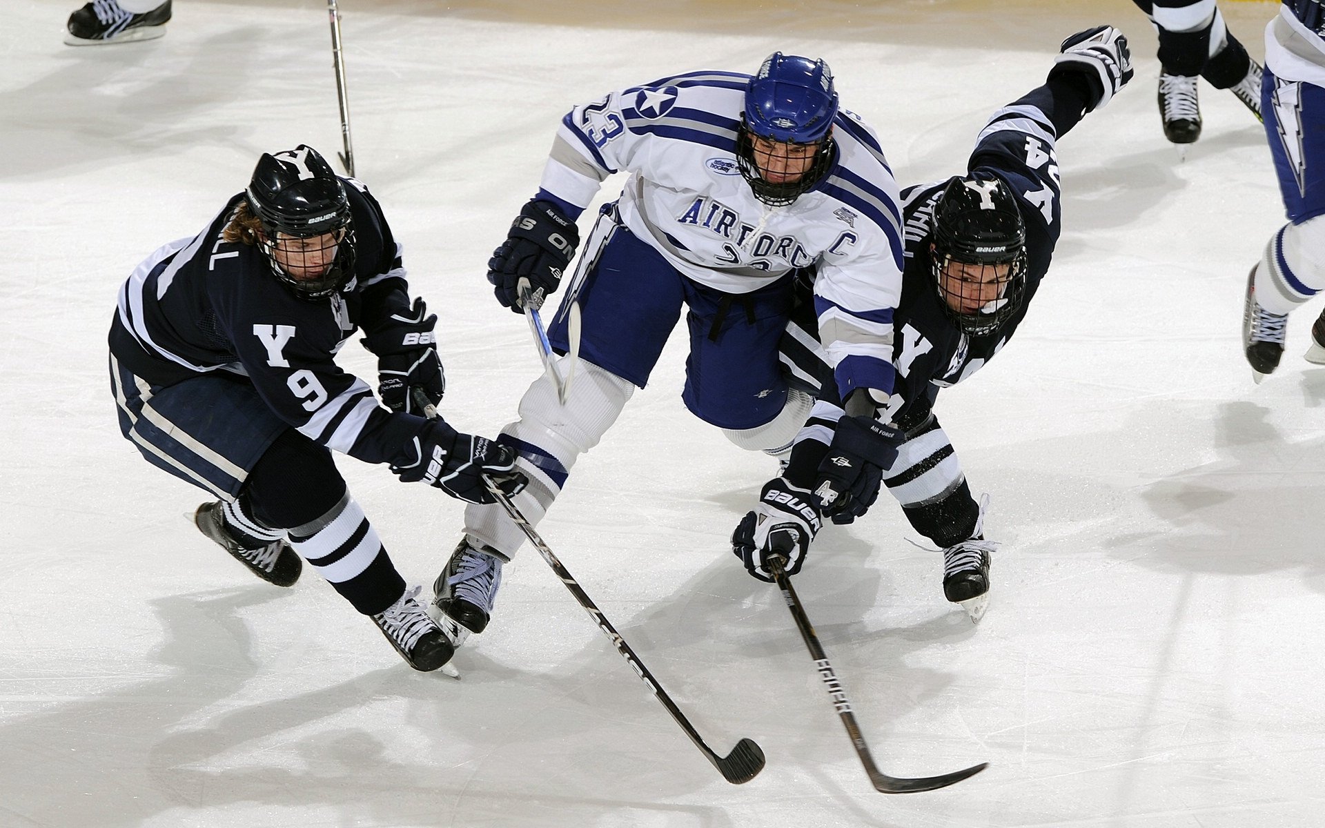 隔山打牛，戈贝尔在深圳的篮下，投下法式巨影