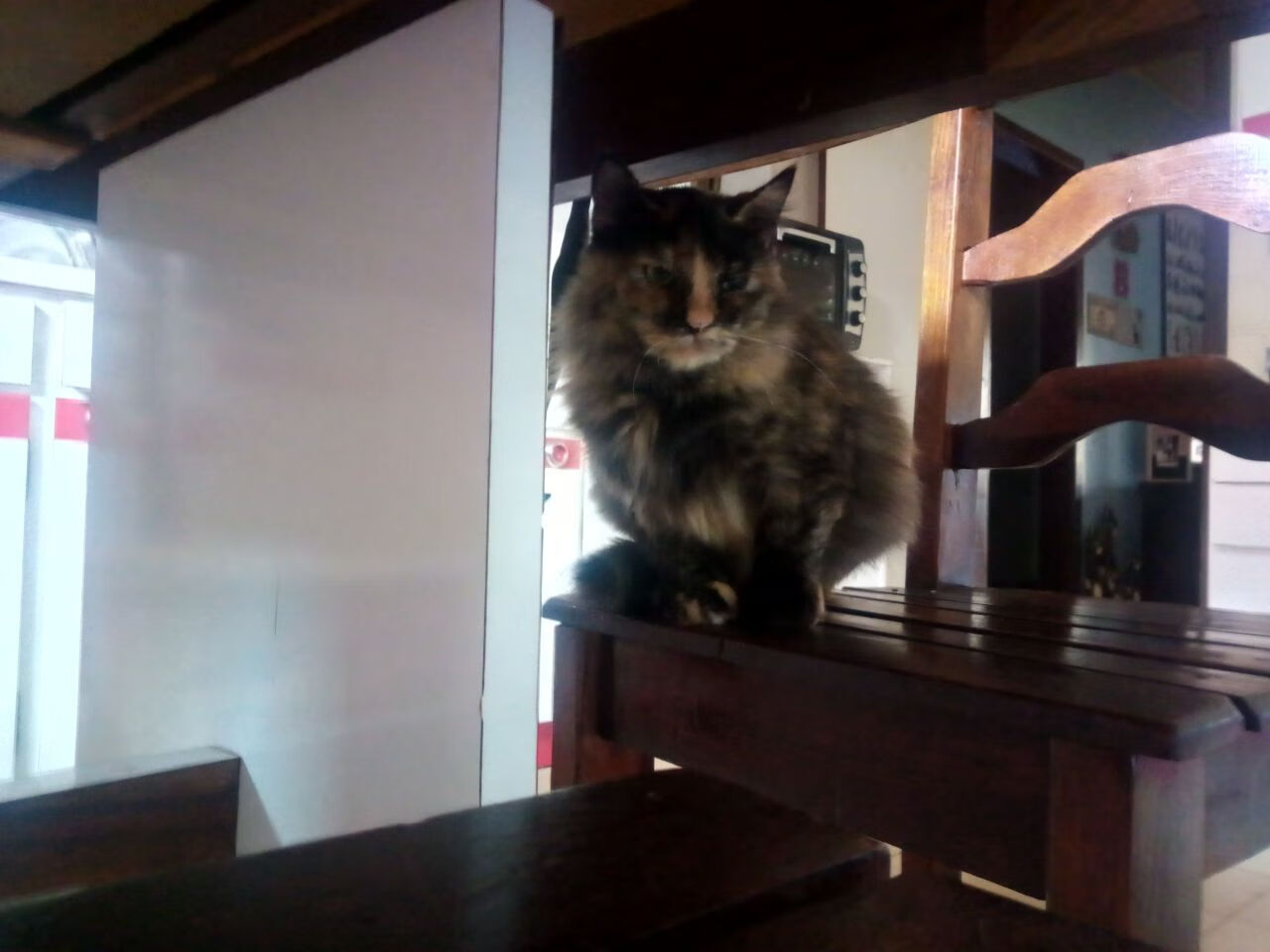 沙漠之鹰啄伤桑巴军团，卡塔尔硬仗奇迹击败巴西