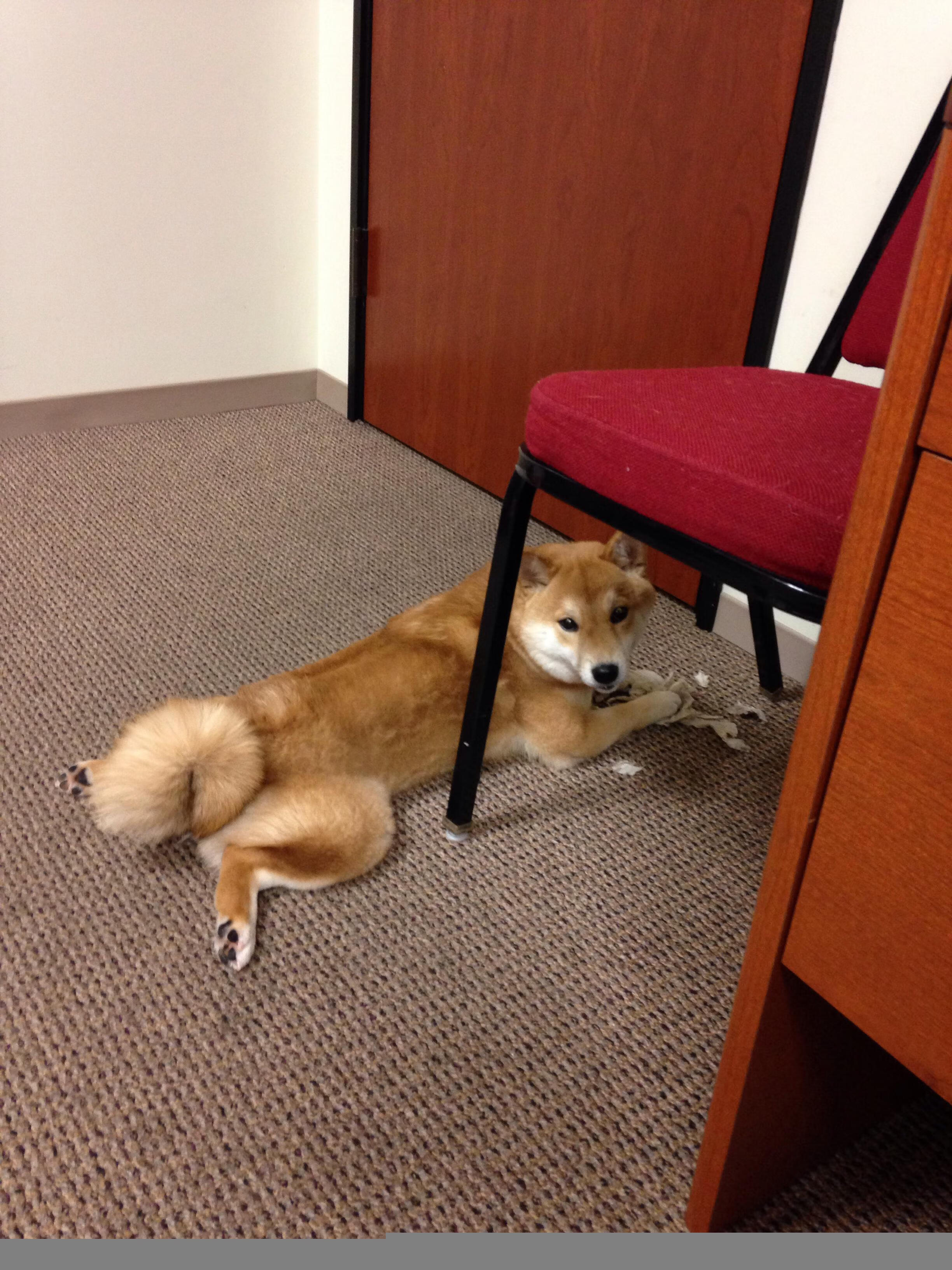 当39岁的勒布朗抬头望去，文班亚马正在他面前表演天赋的轮回