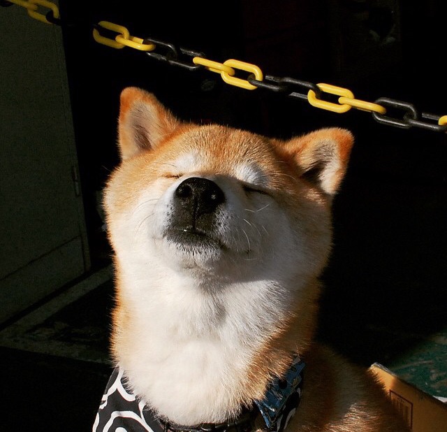 库里成胜负手,森林狼篮球外交胜新疆,跨越大洋的握手改写历史