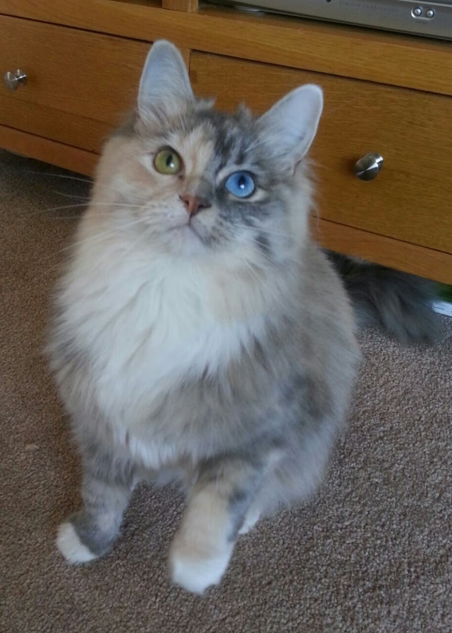 镣铐与钥匙，勇士窒息式防守锁死篮网，保罗化身关键先生解开胜利之锁