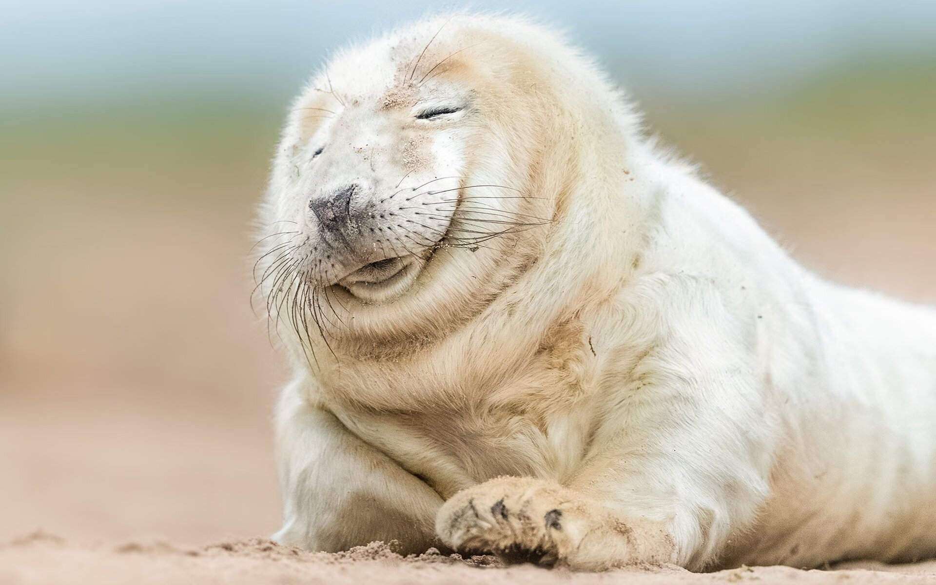 爱游戏在线-黄蜂突袭伯纳乌，国家德比悬念提前终结的魔术时刻