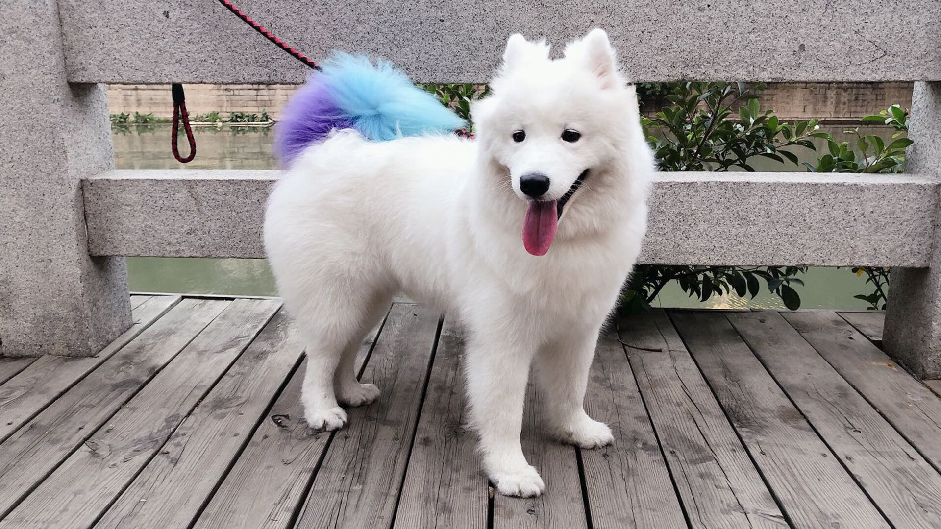 隔空对决,步行者强行终结广东队,约基奇如何点燃世界两端赛场?