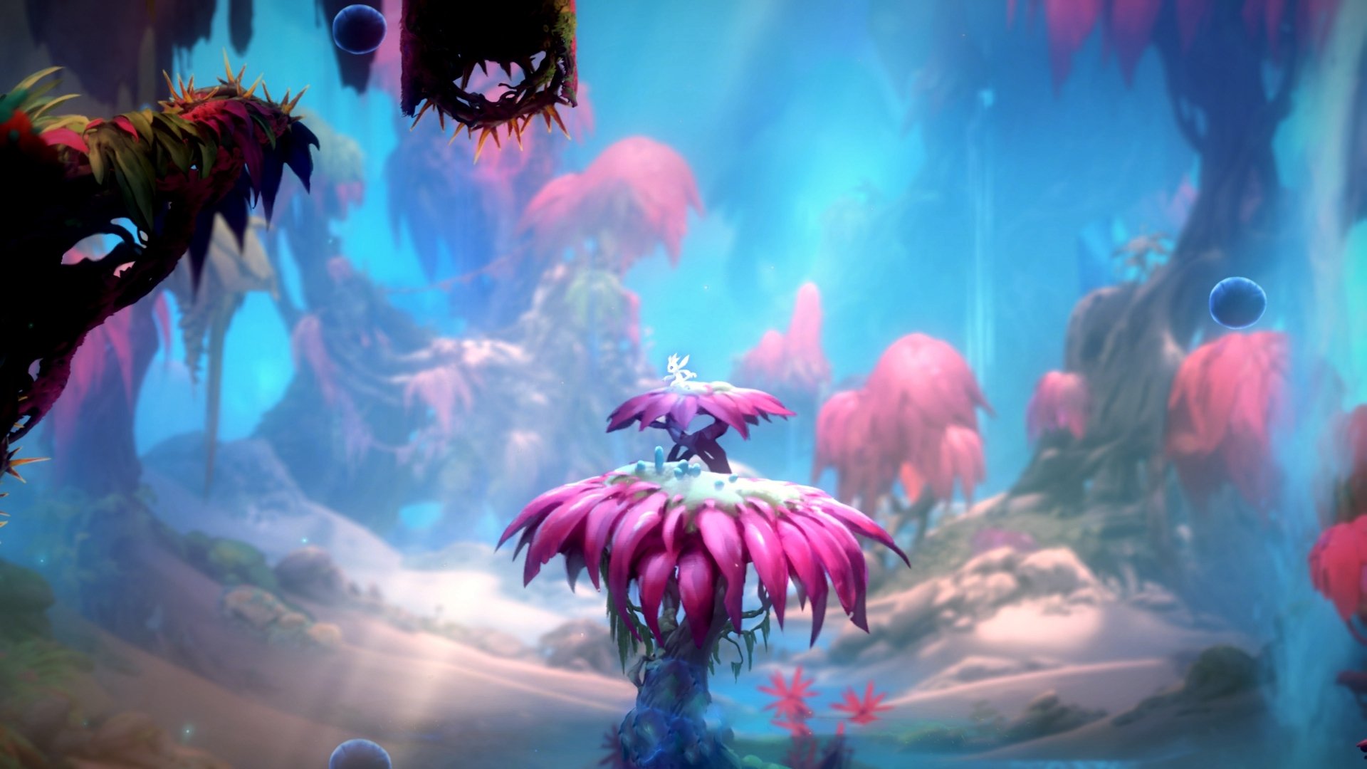 绿茵版广厦横扫森林狼,当篮球铁血遇上足球幻想的跨界焦点战