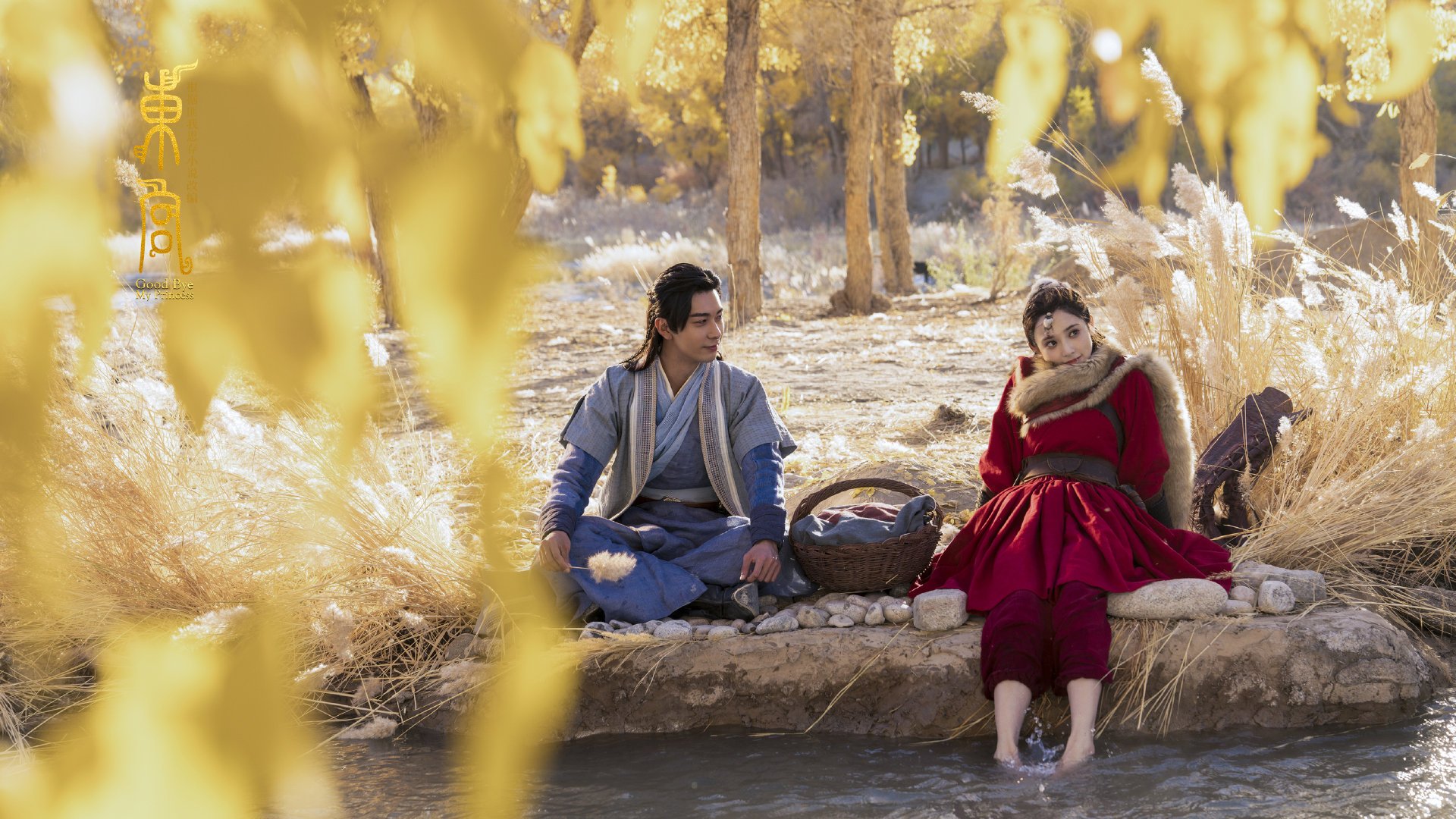 爱游戏-踏平灰熊，关键先生福克斯，一场经典凯尔特人胜利的叙事与象征