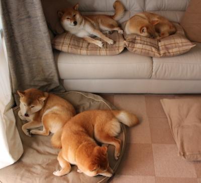 篮球艺术的极简密码，西亚卡姆在虚幻对决中诠释何为教科书