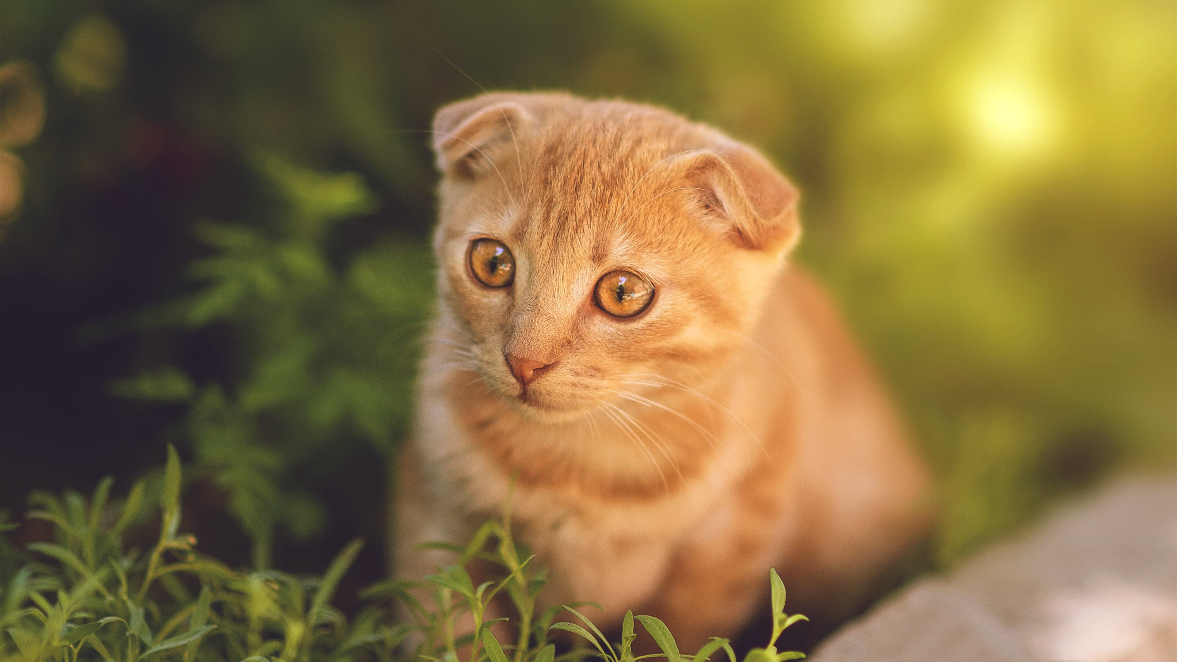 爱游戏-当利拉德成为时钟匠，锁死火箭青春风暴的，是一次次被拆碎的攻防表盘