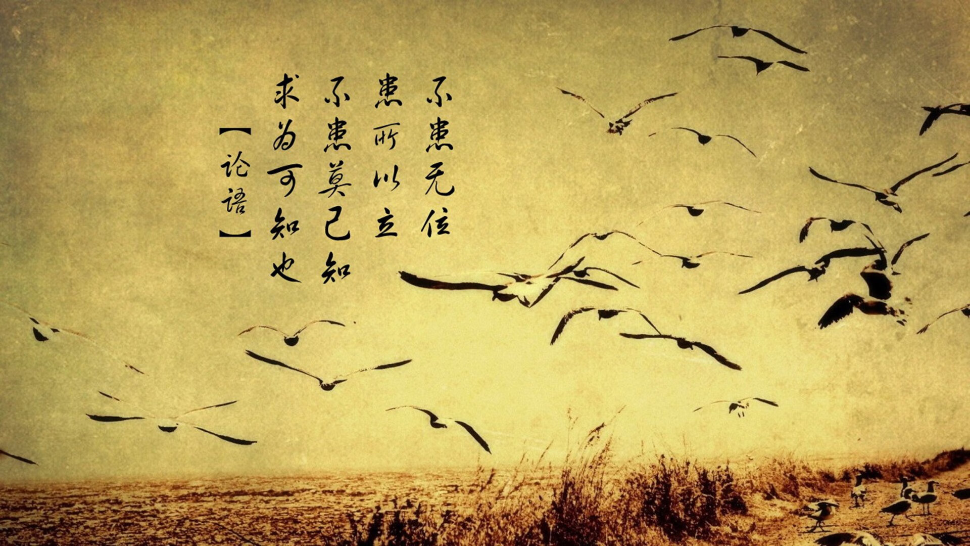 单骑叩关！伦纳德爆发撕裂防线，猛龙中国赛提前终结上海队悬念