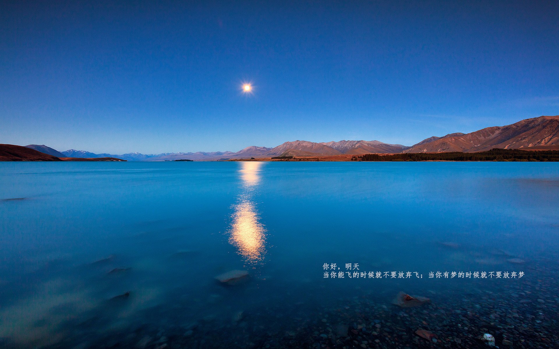 蓝桥铁壁与潘帕斯利刃，一场定义时代的碰撞