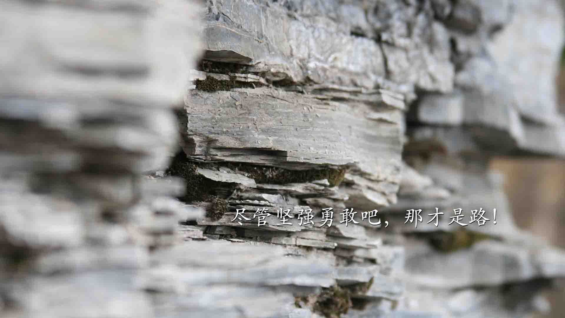 黄沙掩不住锋刃,当喀麦隆的雄狮之吼撕裂波斯铁骑,莱万用足球写下唯一答案
